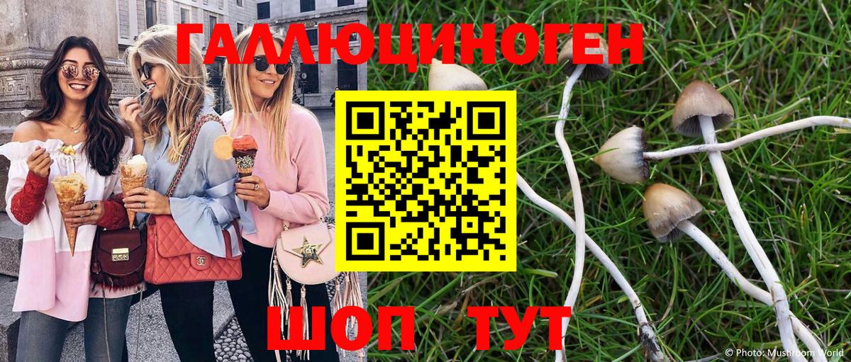 Лабинск  Галлюциногенные грибы MAGIC MUSHROOMS  Вход с VPN 